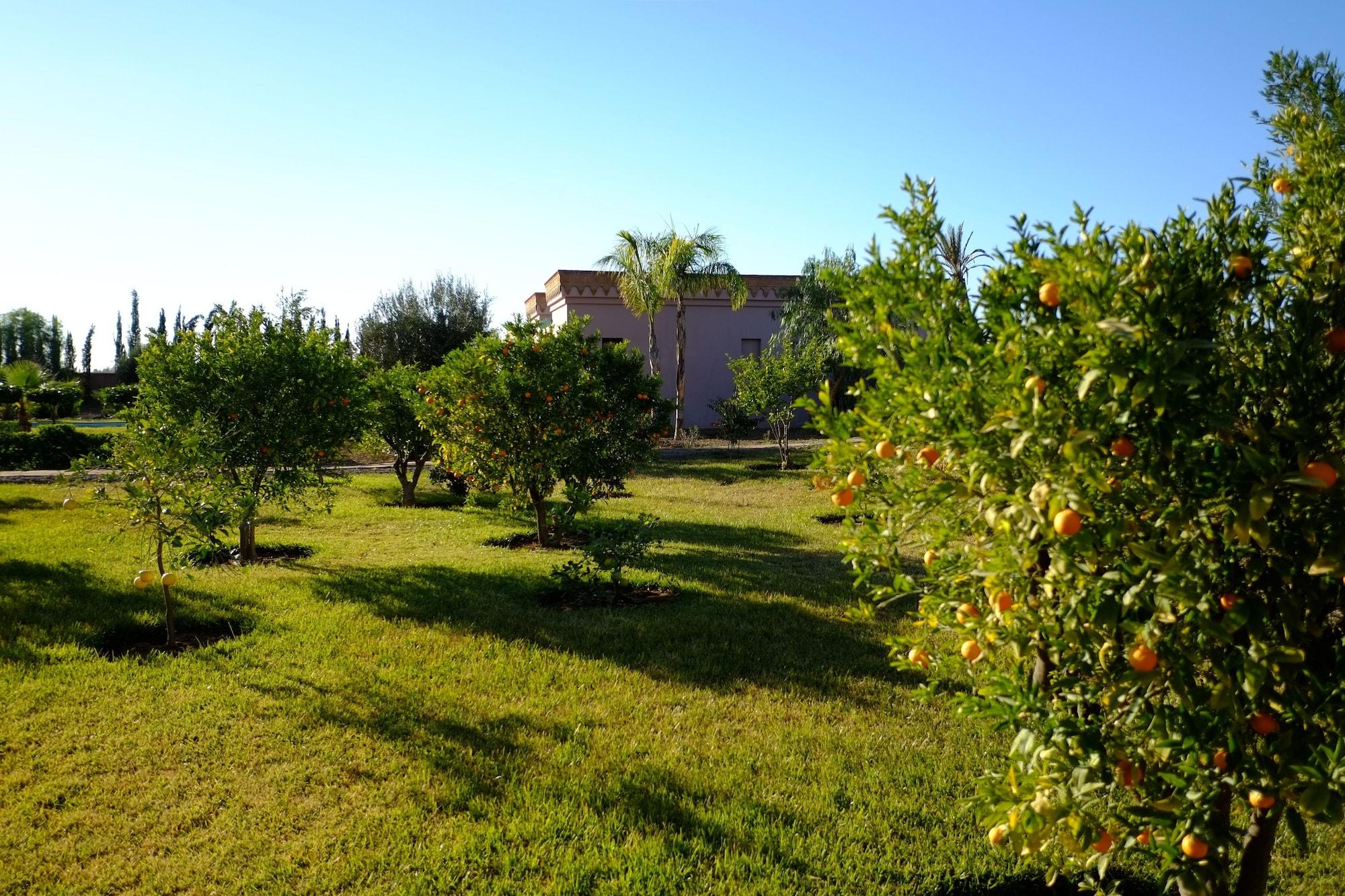 Terra Mia Marrakech Bed and Breakfast Ouled Jelal Exteriör bild