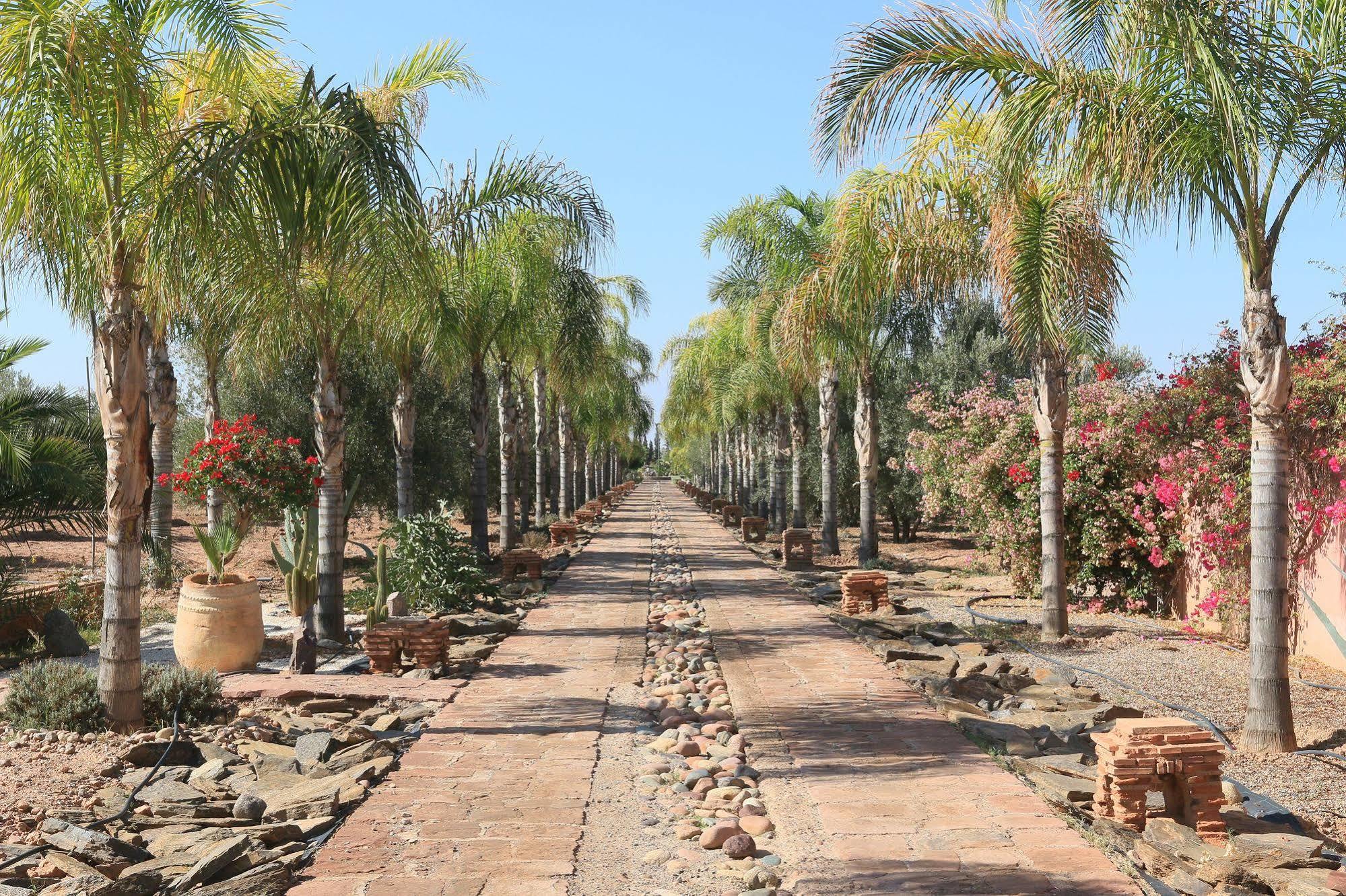 Terra Mia Marrakech Bed and Breakfast Ouled Jelal Exteriör bild